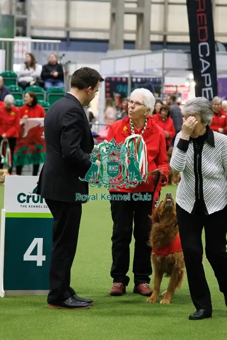 Framed Print : Inter-Regional Obedience Competition Framed Print : Inter-Regional Obedience Competition