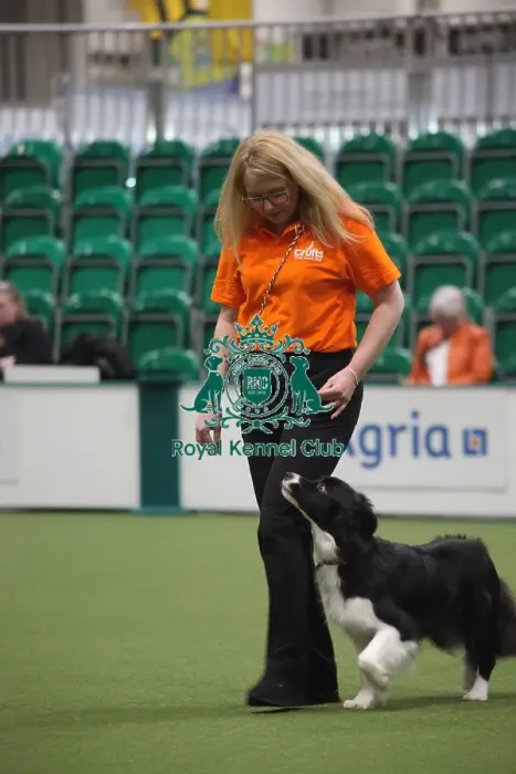 Framed Print : Inter Regional Obedience Competition - Novice Class, Crufts 2026 Inter Regional Obedience Competition - Novice Class, Crufts 2026 Framed Print : Inter Regional Obedience Competition - Novice Class, Crufts 2026 Inter Regional Obedience Competition - Novice Class, Crufts 2026