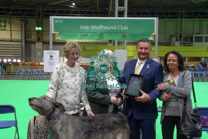 Framed Print : Irish Wolfhound breed club wins best hound breed club of Crufts 2025 Framed Print : Irish Wolfhound breed club wins best hound breed club of Crufts 2025