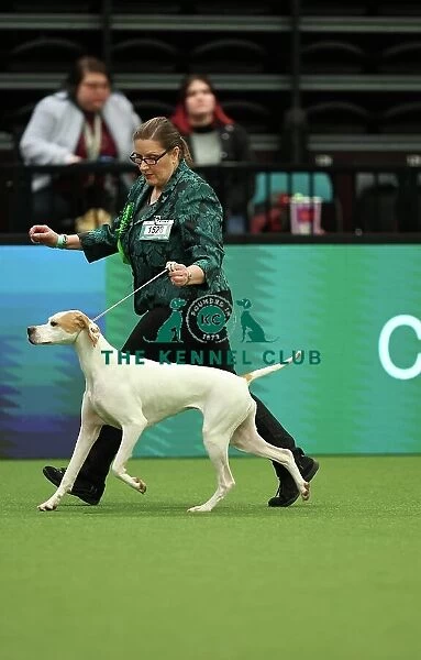 Jane Webb and Rachel Philo from Kenilworth with Frankie, a Pointer, which was the Best of Breed winner today (Thursday 09. 03. 23), the first day of Crufts 2023, at the NEC Birmingham