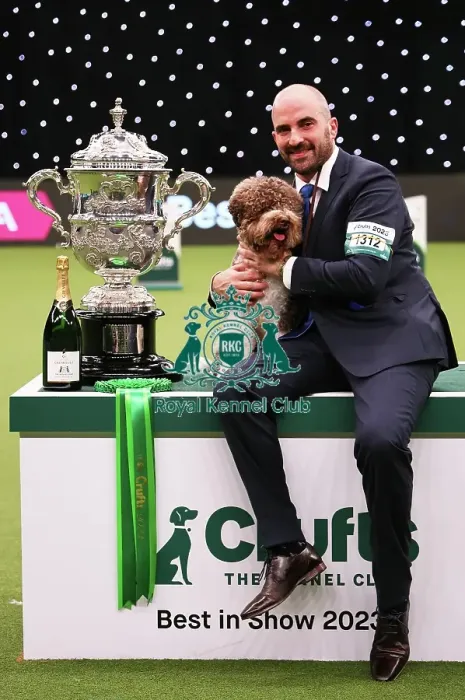 Framed Print : Javier Gonzalez Menicote from Croatia with Orca, a Lagotto Romagnolo, who won the coveted title of Best in Show today (Sunday 12. 03. 23), the final day of Crufts 2023, at the NEC Birmingham Framed Print : Javier Gonzalez Menicote from Croatia with Orca, a Lagotto Romagnolo, who won the coveted title of Best in Show today (Sunday 12. 03. 23), the final day of Crufts 2023, at the NEC Birmingham