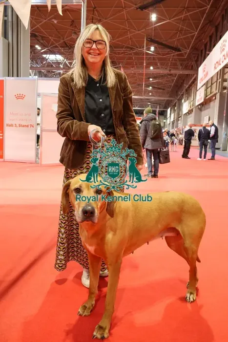 Framed Print : Jaz the Rhodesian Ridgeback with owner in Discover Dogs Framed Print : Jaz the Rhodesian Ridgeback with owner in Discover Dogs