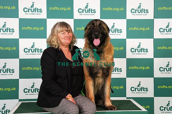 Jenny Haslett from County Clare with Ursa, an Estrela Mountain Dog, which was the Best of Breed winner today (Friday 10. 03. 23), the second day of Crufts 2023, at the NEC Birmingham