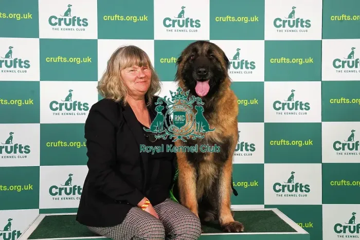 Framed Print : Jenny Haslett from County Clare with Ursa, an Estrela Mountain Dog, which was the Best of Breed winner today (Friday 10. 03. 23), the second day of Crufts 2023, at the NEC Birmingham Framed Print : Jenny Haslett from County Clare with Ursa, an Estrela Mountain Dog, which was the Best of Breed winner today (Friday 10. 03. 23), the second day of Crufts 2023, at the NEC Birmingham
