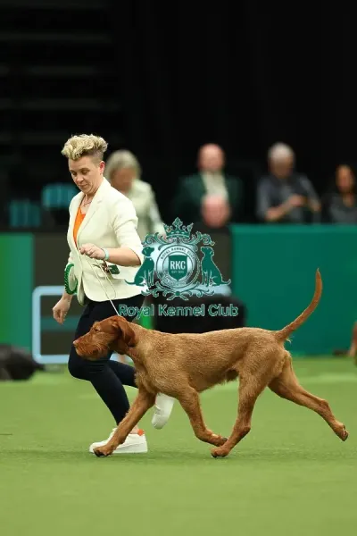 Jo Lumasia from Lanark with Art Prints, Posters Puzzles