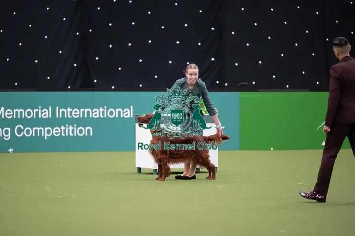 Framed Print : Joe Cartledge International Junior Handling Competition