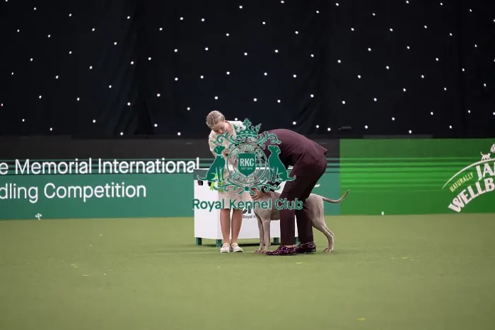 Framed Print : Joe Cartledge International Junior Handling Competition