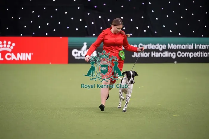 Framed Print : Joe Cartledge International Junior Handling Competition Framed Print : Joe Cartledge International Junior Handling Competition