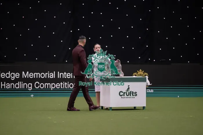 Framed Print : Joe Cartledge International Junior Handling Competition