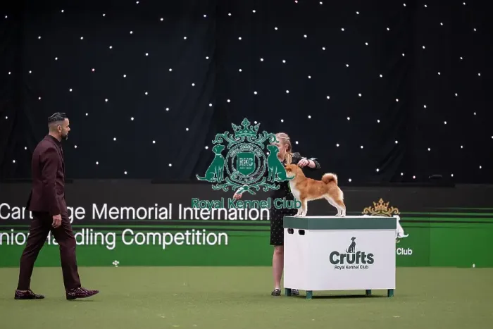 Framed Print : Joe Cartledge International Junior Handling Competition