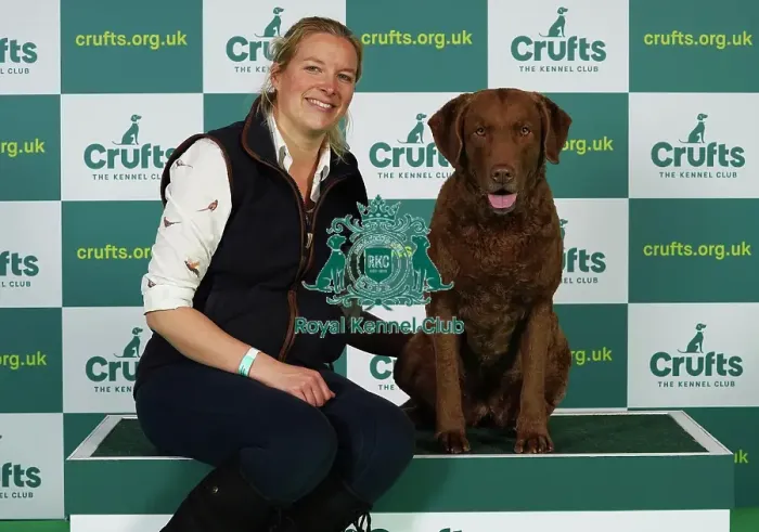 Framed Print : Joy Middleton from Leatherhead with Hebe, Retriever Chesapeake Bay, which was the Best of Breed winner today (Thursday 09. 03. 23), the first day of Crufts 2023, at the NEC Birmingham Framed Print : Joy Middleton from Leatherhead with Hebe, Retriever Chesapeake Bay, which was the Best of Breed winner today (Thursday 09. 03. 23), the first day of Crufts 2023, at the NEC Birmingham