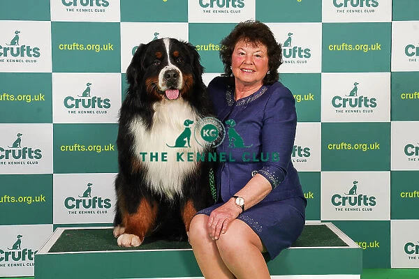 Julie Baldwin from Preston with Chirac, a Bernese Mountain Dog, which was the Best of Breed winner today (Friday 10. 03. 23), the second day of Crufts 2023, at the NEC Birmingham