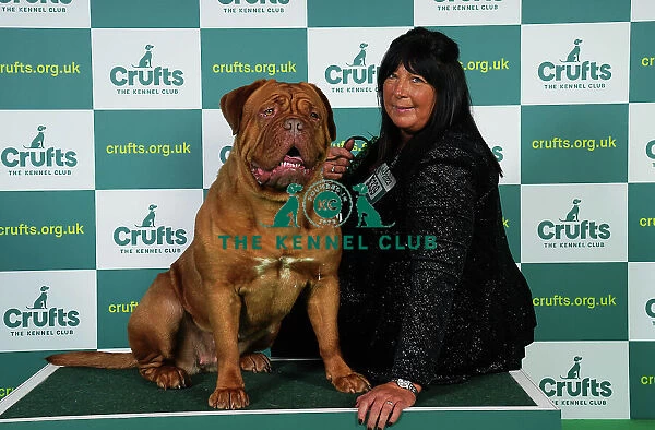 Kay Strong from Bolton with Gloria, a Dogue de Bordeaux, which was the Best of Breed winner today (Friday 10. 03. 23), the second day of Crufts 2023, at the NEC Birmingham