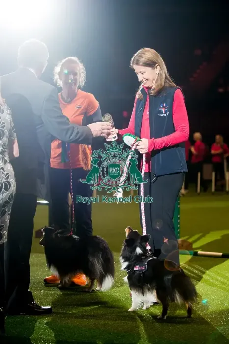 Framed Print : KC British Open Small winner Bernadette Bay with Ag Ch Obay Its Got Pizazz AW(G) Framed Print : KC British Open Small winner Bernadette Bay with Ag Ch Obay Its Got Pizazz AW(G)