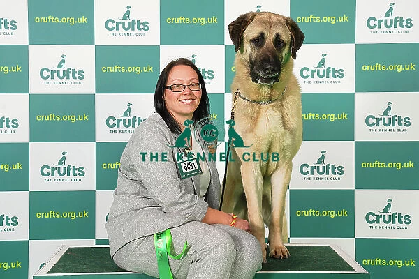 Kelly Stewart from Law Village with Ekho, a Anatolian Shepherd Dog, which was the Best of Breed winner today (Friday 10. 03. 23), the second day of Crufts 2023, at the NEC Birmingham