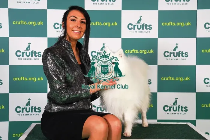 Framed Print : Kennedy Aston from Telford, with Romeo, a Japanese Spitz, which was the Best of Breed winner today (Sunday 12. 03. 23), the last day of Crufts 2023, at the NEC Birmingham Framed Print : Kennedy Aston from Telford, with Romeo, a Japanese Spitz, which was the Best of Breed winner today (Sunday 12. 03. 23), the last day of Crufts 2023, at the NEC Birmingham