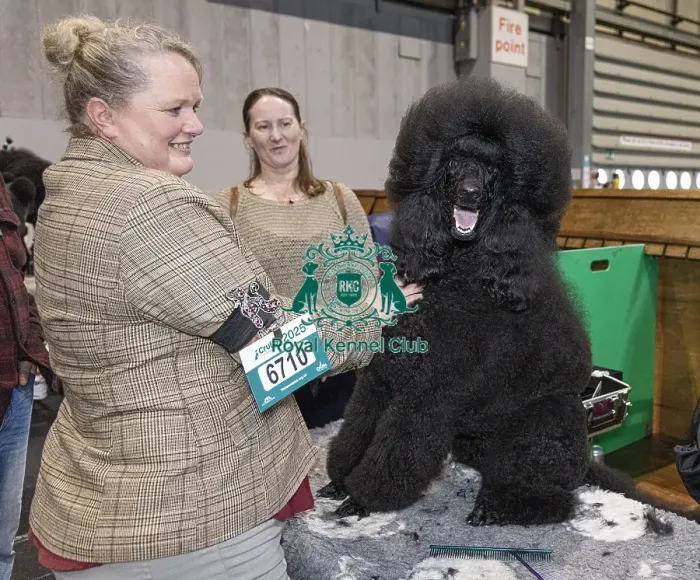Framed Print : Kerry Thomas from Wales with Raven a Poodle (Standard)