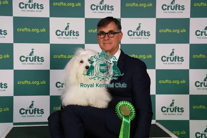 Framed Print : Kevin Holley from North Lincolnshire with Belle, a Coton de Tulear, which was the Best of Breed winner today (Sunday 12. 03. 23), the last day of Crufts 2023, at the NEC Birmingham Framed Print : Kevin Holley from North Lincolnshire with Belle, a Coton de Tulear, which was the Best of Breed winner today (Sunday 12. 03. 23), the last day of Crufts 2023, at the NEC Birmingham