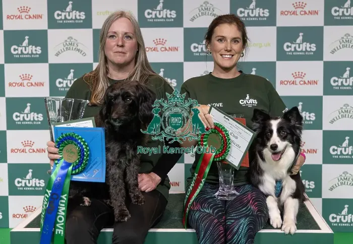 Framed Print : Laura Chapman with Leebardream come true a Poodle Cross a Working Cocker who today won the Agility Championship Medium