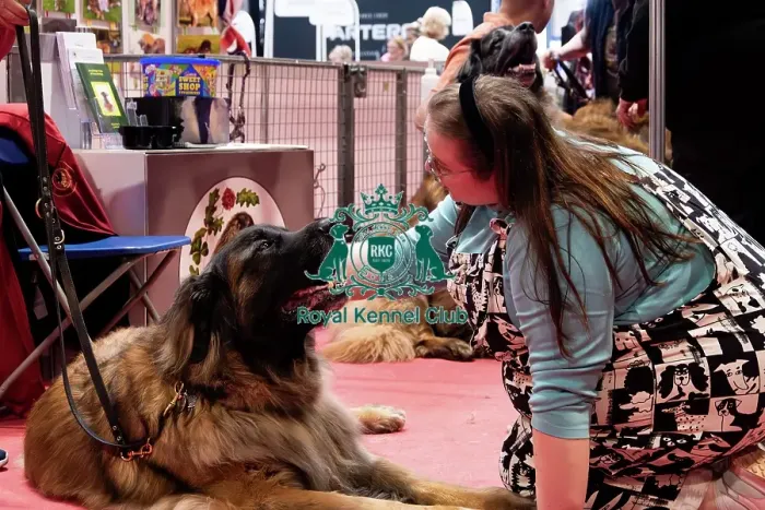 Framed Print : Leonberger Meeting Framed Print : Leonberger Meeting