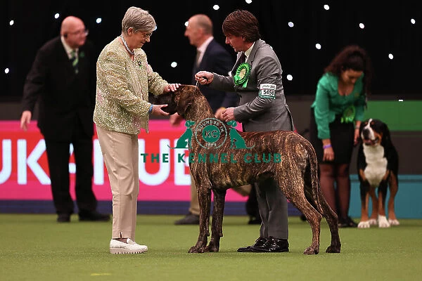 Lesley Chappell and Adam Chappell from Matlock with Guy, a Great Dane, which was the Best of Breed winner today (Friday 10. 03. 23), the second day of Crufts 2023, at the NEC Birmingham