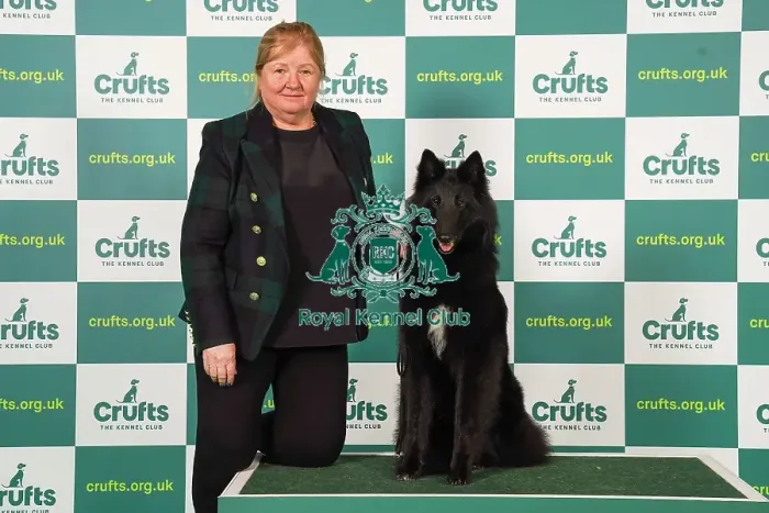 Framed Print : Linda Lester from Cheltenham with Envy, a Belgian Shepherd Dog (Groenendael), which was the Best of Breed winner today (Friday 10. 03. 23), the second day of Crufts 2023, at the NEC Birmingham