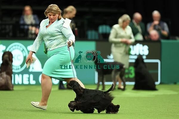 Lisa Nelson from Lancashire with Felicia, an American Cocker Spaniel, which was the Best of Breed winner today (Thursday 09. 03. 23), the first day of Crufts 2023, at the NEC Birmingham