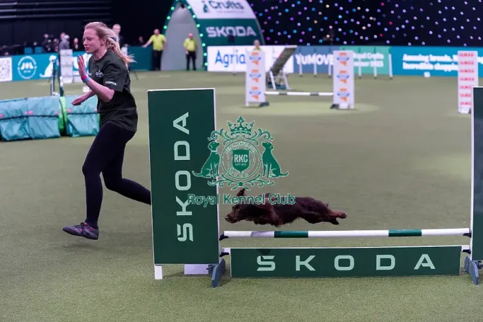 Framed Print : Liz Naylor with Skye, Competing in the Small Championship Agility Final