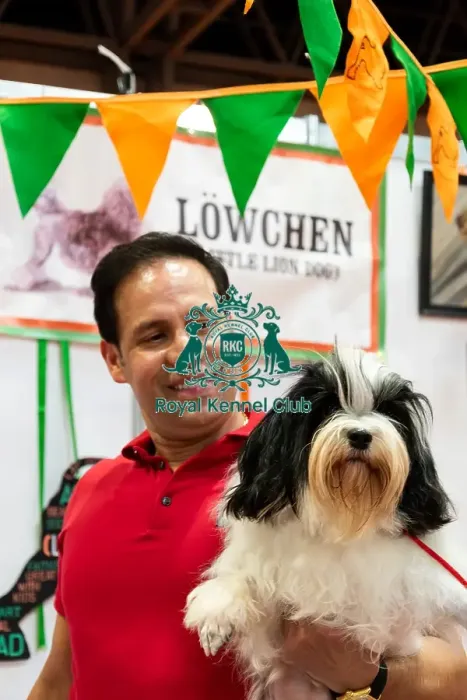 Framed Print : Lowchen Blossom With Owner Hessler Discover Dogs Framed Print : Lowchen Blossom With Owner Hessler Discover Dogs