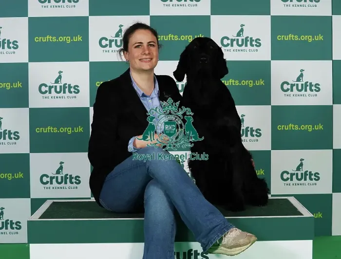 Framed Print : Ludovica Soresina from Italy with Chilkoot, a Retriever Flat Coated, which was the Best of Breed winner today (Thursday 09. 03. 23), the first day of Crufts 2023, at the NEC Birmingham