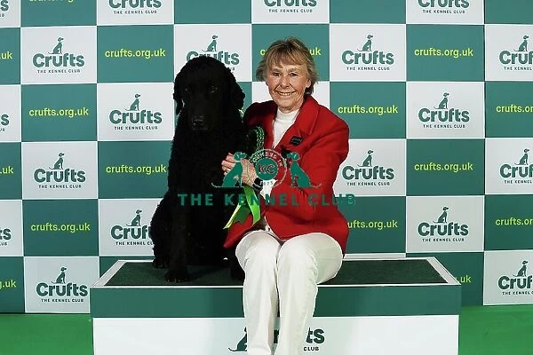 Maggie Stephens from Cynghordy with Tarzan, a Curly coated Retriever, which was the Best of Breed winner today (Thursday 09. 03. 23), the first day of Crufts 2023, at the NEC Birmingham