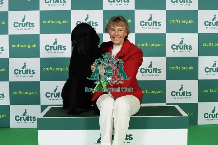 Framed Print : Maggie Stephens from Cynghordy with Tarzan, a Curly coated Retriever, which was the Best of Breed winner today (Thursday 09. 03. 23), the first day of Crufts 2023, at the NEC Birmingham Framed Print : Maggie Stephens from Cynghordy with Tarzan, a Curly coated Retriever, which was the Best of Breed winner today (Thursday 09. 03. 23), the first day of Crufts 2023, at the NEC Birmingham