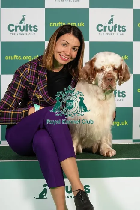 Framed Print : Maja Bublao from Croatia with Villi, a Clumber Spaniel, which was the Best of Breed winner today (Thursday 09. 03. 23), the first day of Crufts 2023, at the NEC Birmingham Framed Print : Maja Bublao from Croatia with Villi, a Clumber Spaniel, which was the Best of Breed winner today (Thursday 09. 03. 23), the first day of Crufts 2023, at the NEC Birmingham