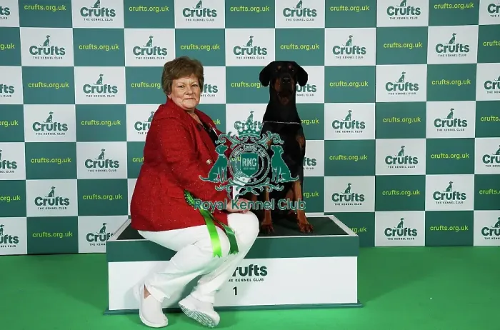 Framed Print : Mandy Everley from West Sussex with Archie, a Doberman, which was the Best of Breed winner today (Friday 10. 03. 23), the second day of Crufts 2023, at the NEC Birmingham Framed Print : Mandy Everley from West Sussex with Archie, a Doberman, which was the Best of Breed winner today (Friday 10. 03. 23), the second day of Crufts 2023, at the NEC Birmingham