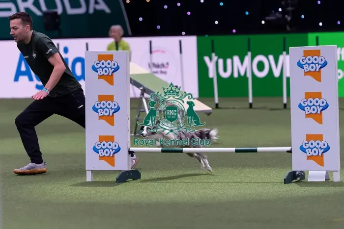 Framed Print : Martin Reid with Selfie Competing in the Small Championship Agility Final
