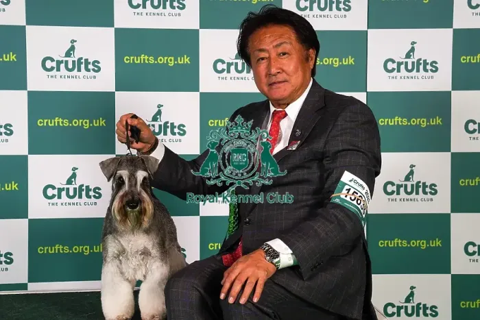 Framed Print : Masami Uryu from Japan, with Magi, a Miniature Schnauzer, which was the Best of Breed winner today (Sunday 12. 03. 23), the last day of Crufts 2023, at the NEC Birmingham Framed Print : Masami Uryu from Japan, with Magi, a Miniature Schnauzer, which was the Best of Breed winner today (Sunday 12. 03. 23), the last day of Crufts 2023, at the NEC Birmingham