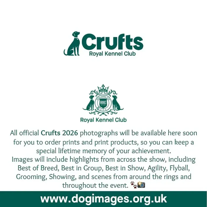 Framed Print : MediaStoreHouse Crufts 2026 holding image - 1 Framed Print : MediaStoreHouse Crufts 2026 holding image - 1