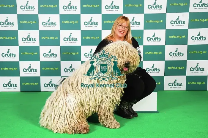 Framed Print : Melinda Talpai from Hungary with Bandita, a Komondor, which was the Best of Breed winner today (Friday 10. 03. 23), the second day of Crufts 2023, at the NEC Birmingham Framed Print : Melinda Talpai from Hungary with Bandita, a Komondor, which was the Best of Breed winner today (Friday 10. 03. 23), the second day of Crufts 2023, at the NEC Birmingham