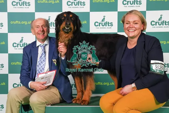 Framed Print : Michael Murphy and Heli Mooney from Kildare with Beamish, a Hovawart, which was the Best of Breed winner today (Friday 10. 03. 23), the second day of Crufts 2023, at the NEC Birmingham Framed Print : Michael Murphy and Heli Mooney from Kildare with Beamish, a Hovawart, which was the Best of Breed winner today (Friday 10. 03. 23), the second day of Crufts 2023, at the NEC Birmingham