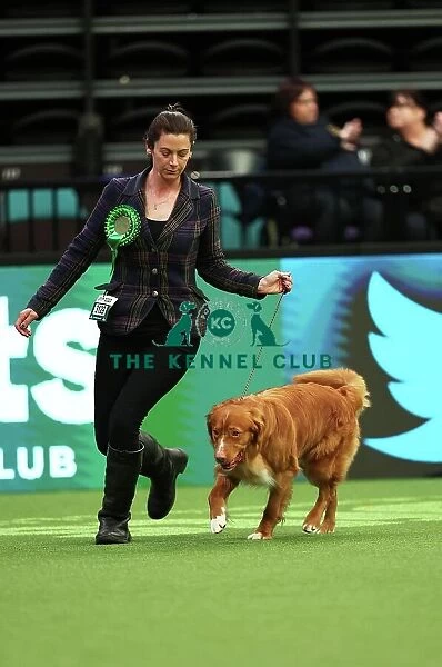 Michelle Elkin from Rickmansworth with Quentin, a Nova Scotia Duck Tolling Retriever, which was the Best of Breed winner today (Thursday 09. 03. 23), the first day of Crufts 2023, at the NEC Birmingham