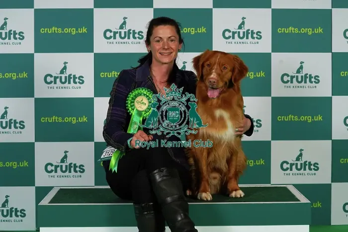 Framed Print : Michelle Elkin from Rickmansworth with Quentin, a Nova Scotia Duck Tolling Retriever, which was the Best of Breed winner today (Thursday 09. 03. 23), the first day of Crufts 2023, at the NEC Birmingham Framed Print : Michelle Elkin from Rickmansworth with Quentin, a Nova Scotia Duck Tolling Retriever, which was the Best of Breed winner today (Thursday 09. 03. 23), the first day of Crufts 2023, at the NEC Birmingham