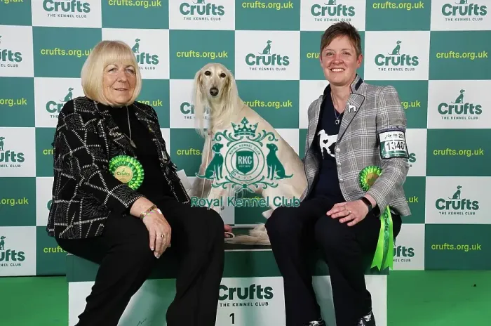 Framed Print : Michelle Ulyatt and Linda Aldous from Bexhill on Sea with Storm a Saluki, which was the Best of Breed winner today (Saturday 11. 03. 23), the third day of Crufts 2023, at the NEC Birmingham Framed Print : Michelle Ulyatt and Linda Aldous from Bexhill on Sea with Storm a Saluki, which was the Best of Breed winner today (Saturday 11. 03. 23), the third day of Crufts 2023, at the NEC Birmingham