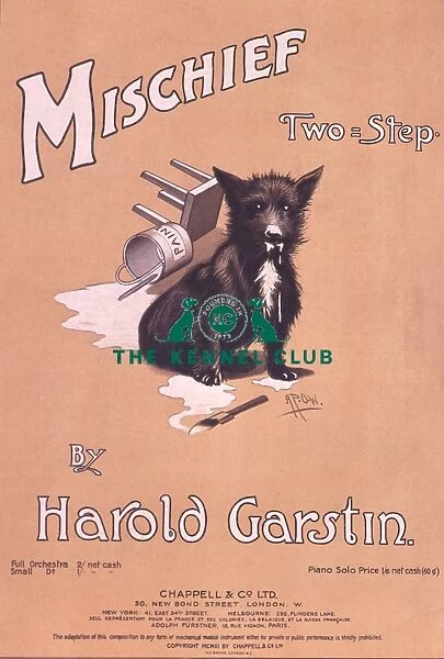 Mischief, Two-Step. Vintage dog sheet music entitled, Mischief, Two-Step by Harold Garstin