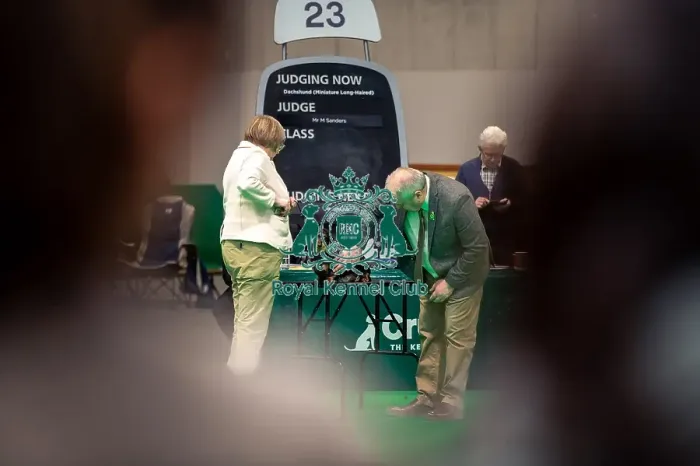 Framed Print : Mr M Sanders at ring 23 judging a Dachshund ( Mininature Long Haired) in the limit bitch class today (Thursday 06 / 03 / 25)