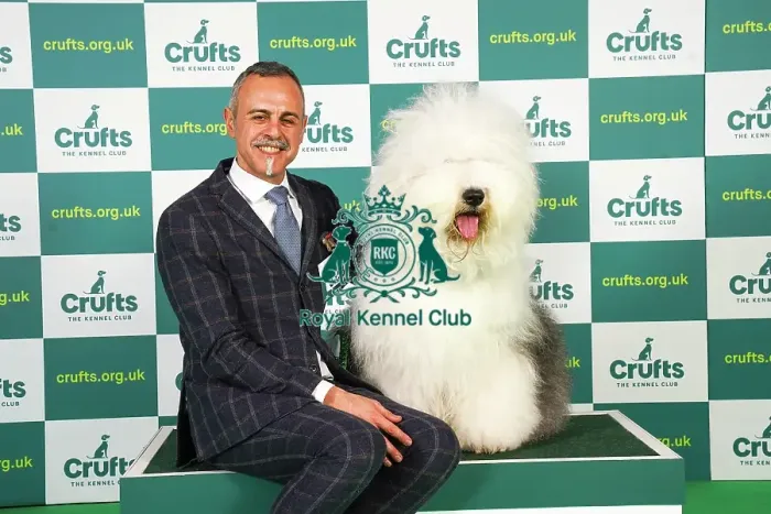 Framed Print : Nikolas Kanals Matteo Autolitano from Greece / Italy with Blondie, an Old English Sheepdog, which was the Best of Breed winner today (Friday 10. 03. 23), the second day of Crufts 2023, at the NEC Birmingham Framed Print : Nikolas Kanals Matteo Autolitano from Greece / Italy with Blondie, an Old English Sheepdog, which was the Best of Breed winner today (Friday 10. 03. 23), the second day of Crufts 2023, at the NEC Birmingham