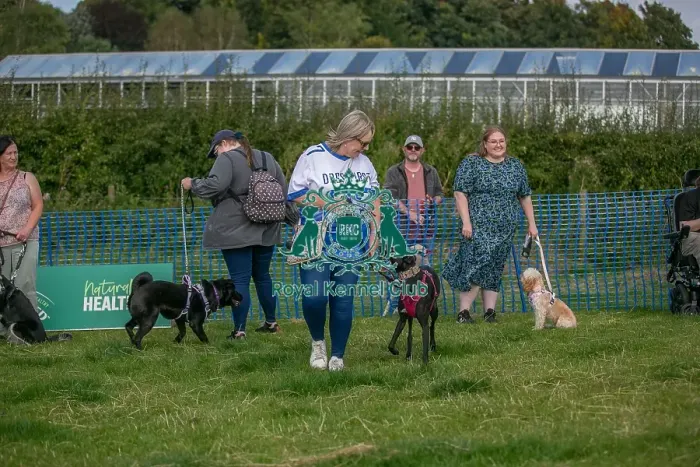 Framed Print : North East Dog Festival 2024 Candid Shot Prettiest Crossbreed Bitch Class