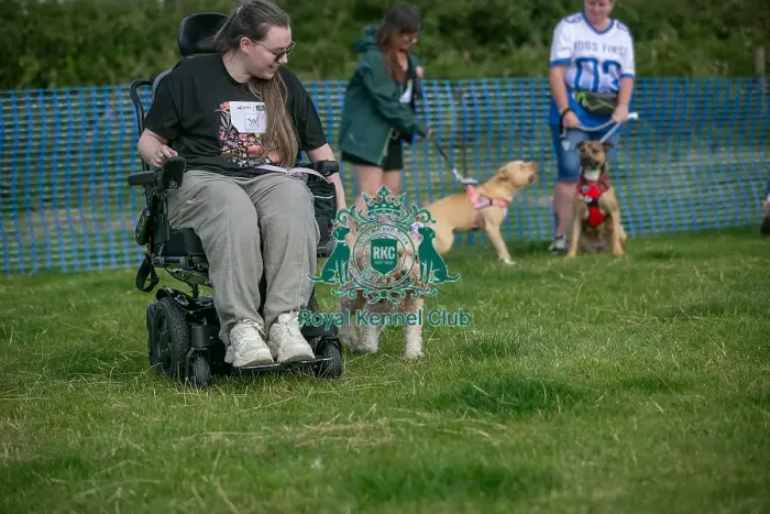 Framed Print : North East Dog Festival 2024 Scruffts Heats Prettiest Crossbreed Bitch Class