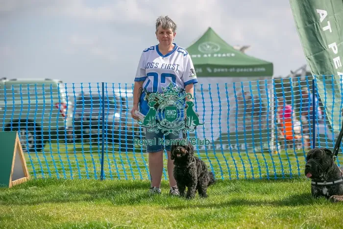 Framed Print : North East Dog Festival 2024 Scruffts Heats Scruffts Family Crossbreed Of The Year Competition