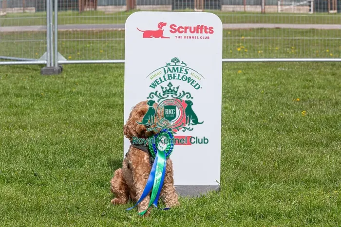 Framed Print : Nottinghamshire. Second Place Scruffts Heat James Wellbeloved
