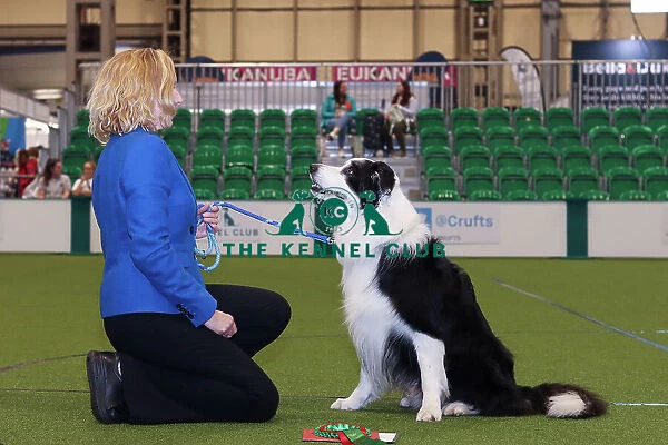 Obedience Champion (Dog) Lorna with her Border Collie Lenny